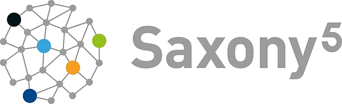 Gitterball als Logo von Saxony5 mit Schriftzug