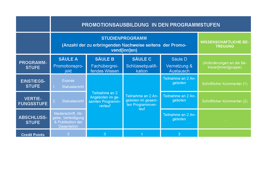 Abbildung einer Tabelle der Promotionsausbildung in den Programmstufen