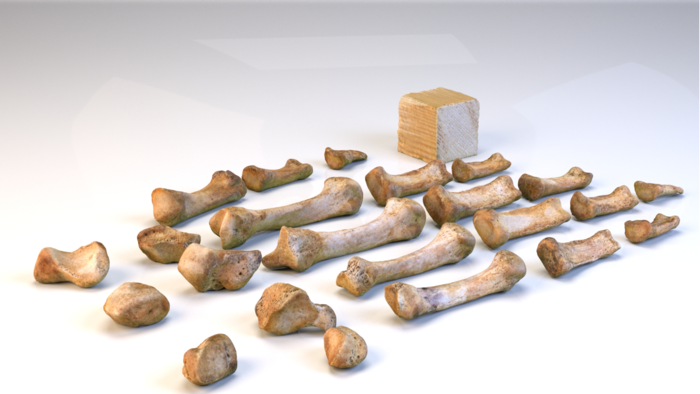 In diesem Bild sind 3D-Modelle der Knochen einer ganzen Hand abgebildet, die alle in einer Runde gescannt wurden. 