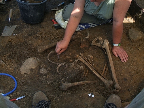 Eine Aufnahme aus dem Jahr 2007 von der Ausgrabung des im Vortrag vorgestellten Skeletts. Zu diesem Zeitpunkt war noch nicht bekannt, dass es sich um die Überreste eines Opfers von Gewalt handelte. (Foto: Landesamt für Archäologie Sachsen) Foto einer Ausgrabung von Knochen ( Foto: Landesamt für Archäologie Sachsen)
