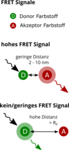 Schemazeichnung