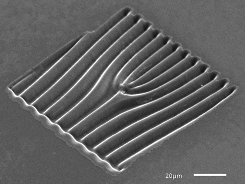 Mikroskopische Aufnahme eines Gitters in Gabelform