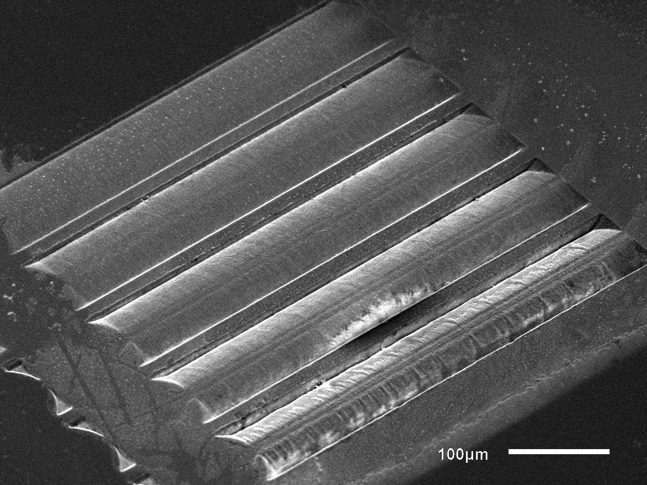 REM-Aufnahme von hergestellten Mikrozylinderlinsen in Quarzglas