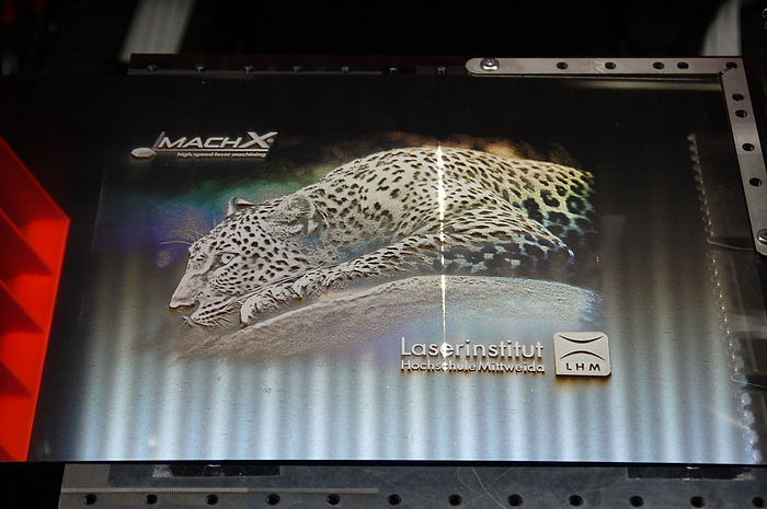 Ein Leopard sowie das LHM-Logo wurden mittels Laser in eine Werkstoffoberfläche eingebrachtLaser in eine