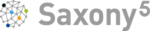 Logo (Gitterball) und Schriftzug des Transferverbundes Saxony5