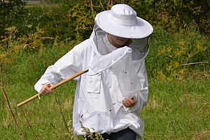 Frau in Schutzkleidung beim Bienenfang