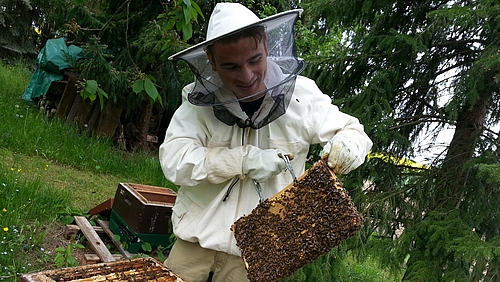 Mann in Imkerkleidung an Bienenstöcken