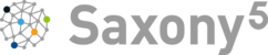 Logo (Gitterball) und Schriftzug des Transferverbundes Saxony5
